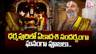 ధర్మపురిలో ఏకాదశి సందర్బంగా ఘనంగా పూజలు  Dharmapuri Temple  Venkateswara Swamy [upl. by Nonaihr]