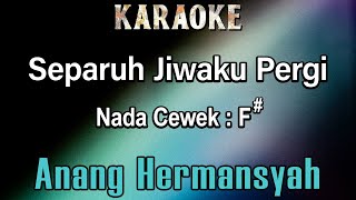 Separuh Jiwaku Pergi Karaoke Anang Hermansyah  Nada Cewek F [upl. by Nnaecyoj]