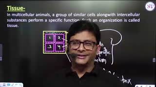 Structural Organisation in Animals L 01Zoology by MD Sir For Class 11th and Dropper Students [upl. by Netnert]