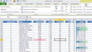 Excel 2010  Créer un formulaire de recherche [upl. by Fakieh905]