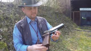 Luftpistole BSA 240 Magnum  Plinking [upl. by Enoval]