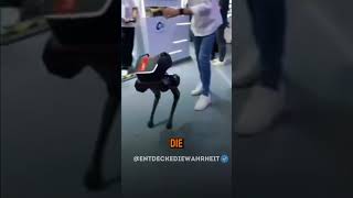 Achtung Greifen Sie niemals einen Roboterhund an – das könnte lebensgefährlich sein neugier [upl. by Ylyl443]