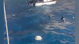 Naufragio Lampedusa le immagini dei soccorsi fatti dai turisti e lampedusani [upl. by Airemahs]