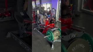 Singleleg horizontal leg press [upl. by Ahsemaj]