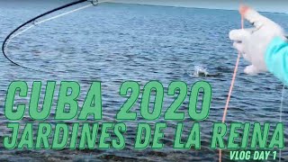 Fly Fishing Cuba Day 1 Vlog  Crocodiles Being Lucky Flats Fishing for Bonefish Tarpon amp Permit [upl. by Alverta]