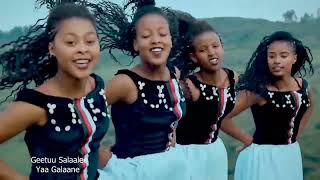 New Ethiopian oromo music Yaa Galaanee Getuu Dagagaa [upl. by Ahsimot]