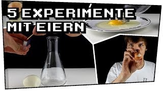 5 Experimente mit Eiern  Heimexperimente 02 [upl. by Nari709]