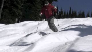 Telemark Bumps [upl. by Piefer50]