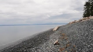 Bere point Orca Rubbing beach on Malcolm Island BC [upl. by Bilac]