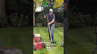 How to Effectively Remove Thatch from Your Lawn [upl. by Andres]