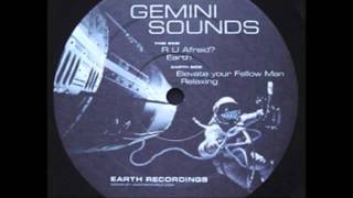 Gemini Sounds  Elevate Your Fellow Man Earth 1998 [upl. by Bega]