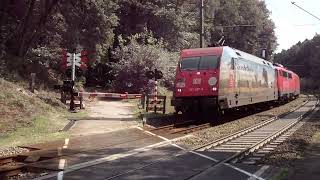 DB 101 0875 leads Locomotives Train at Venlo the Netherlands  Aug 92013 👍👍👍👍👍👍👍👍👍👍🚂🚂🚂Railfan 🎥 [upl. by Delmar]