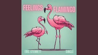 Feelings Flamingo [upl. by Mailiw240]