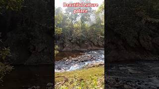 Best forest scene Best nature video Chhattisgarh tourism [upl. by Kotick888]