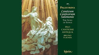 Palestrina Canticum Canticorum quotThe Song of Songsquot VII Fasciculus myrrhae dilectus meus [upl. by Anilram]