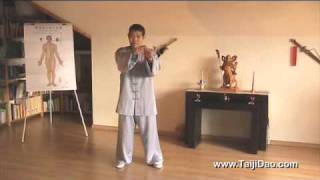 Meister Shen Xijing Was ist Taijiquan Teil 1  Grundlagen [upl. by Haldas181]