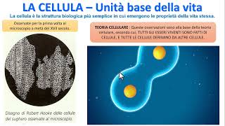 LA CELLULA  Unità base della vita [upl. by Purcell]