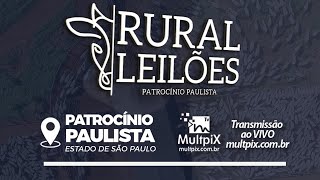 ✅📌 Leilão Presencial e Virtual Rural Leilões  Patrocínio PaulistaSP [upl. by Warga]