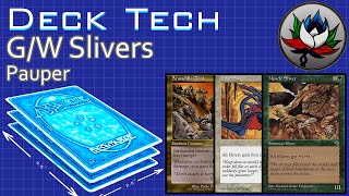 GW Slivers quotBudgetquot Pauper Deck Tech for Magic The Gathering – MTG [upl. by Prue821]