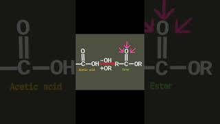 what is the Esterspart2 the chemical composition science youtubeshorts education shortsfeed [upl. by Ahtnamys]