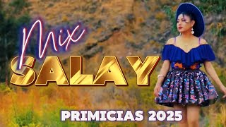 Mix Salay Primicias 2025 Cristhian Vidal Wili Rojas Alfredo Larico Y OTROS [upl. by Valente]