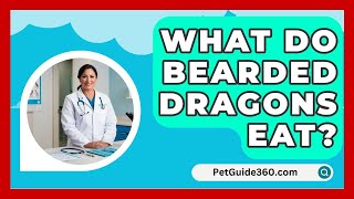 What Do Bearded Dragons Eat  PetGuide360com [upl. by Aenert]