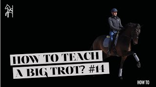 How To Teach Your Horse To Trot Big  Dressage Tutorial  Begijnhoeve  How To 14 [upl. by Einneb79]