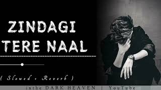 zindagi hai tere naal subscribeviralyoutube [upl. by Jeremiah]