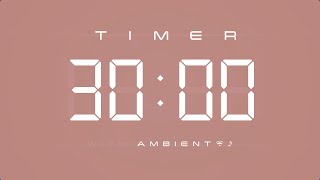 30 Min Digital Timer with Ambient Music amp Simple Beeps 🤎 [upl. by Ginger]