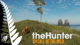 Multiplayer community hunt ⭐ TheHunter Call of the Wild⭐ Modern Rifle Pack DLC LiveStream ✅ [upl. by Jory]