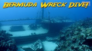 Diving the Hermes Wreck Bermuda The Bermuda Triangle [upl. by Anire]