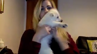 Rose and Rosie YouNow 121714  Puppy Wilma [upl. by Liddie]