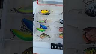 Trolling for Crappie with Custom Painted Crankbaits crappiefishing crankbait fishing [upl. by Modnar]