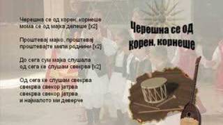 Ceresna Se Od Koren Kornese  Macedonian Song [upl. by Gaspard]