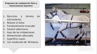 FISIOTERAPIA VETERINARIA EQUINA [upl. by Maunsell]