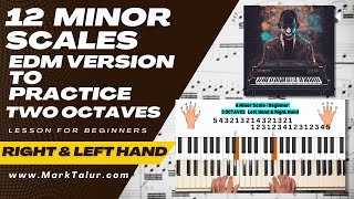 EDM Version Practice all Minor Scales  2 Octaves [upl. by Lorien]