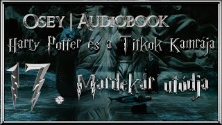 Harry Potter és a Titkok Kamrája hangoskönyv  17 fejezet [upl. by Luann]