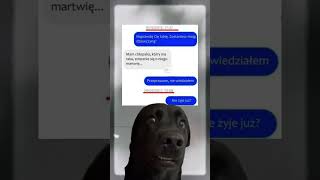 memes mems funny polska humor sms memy dlapoczatkujacych [upl. by Cutlor294]