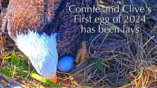 1🦅Captiva Eagle Nest／Window To Wildlife／Captiva Eagle Cam  4K PTZ  Connie amp Clive [upl. by Nanji836]