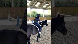 Tackless jumping my pony 🫶🏻🐴 naturalhorsemanship equestrian horse ethical love cute [upl. by Ramsay]