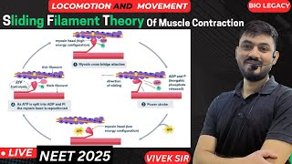 Sliding Filament Theory Of Muscle Contraction  Locomotion amp Movement Class 11th  by  Vivek Sir [upl. by Akcinehs519]