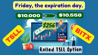 20241011 Rolled TSLL option BITX options expiring TSLL option assigned Time for Covered Call [upl. by Sainana]