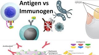 Antigens and Immunogens Types of antigensImmunology [upl. by Angelita770]