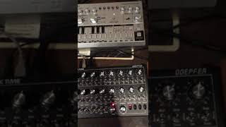 Behringer TD3 w roland tb303 mod and Doepfer Dark Time [upl. by Eliezer]