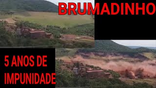 5 anos da tragédia de Brumadinho [upl. by Novat]