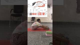 How to do paschimottanasana  beginners seated forward bending with Yoga Block shorts yoga [upl. by Gettings]