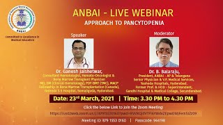 Approach to Pancytopenia [upl. by Jutta]