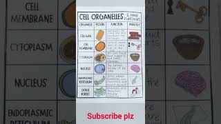 Biology notesCell organelles amp their function shorts biology science [upl. by Mahgirb]