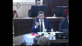 Roma  Indagine conoscitiva Xylella  Audizione  Salvatore Infantino 061124 [upl. by Adnawak]