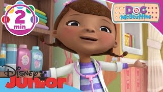 Doc McStuffins  The Babys Coming Home Song  Disney Junior UK [upl. by Sosanna323]